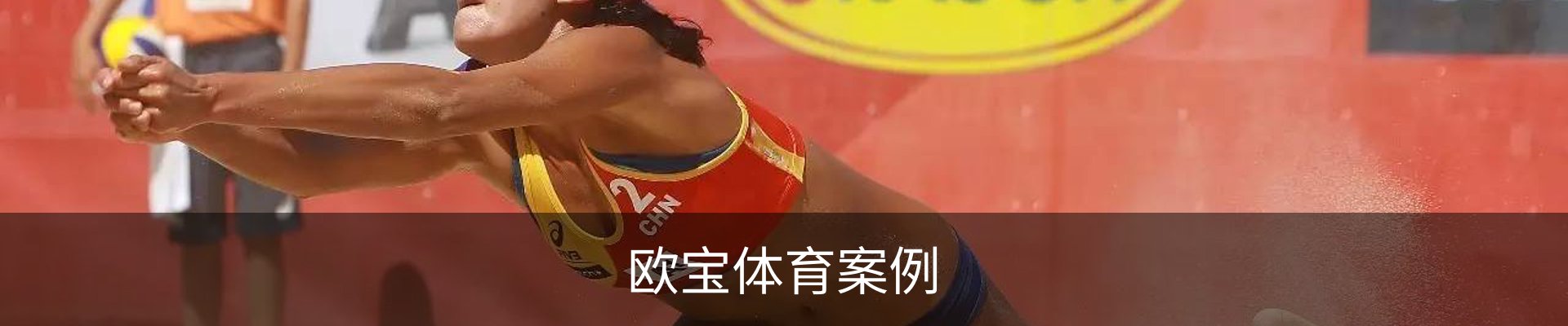 欧宝体育案例